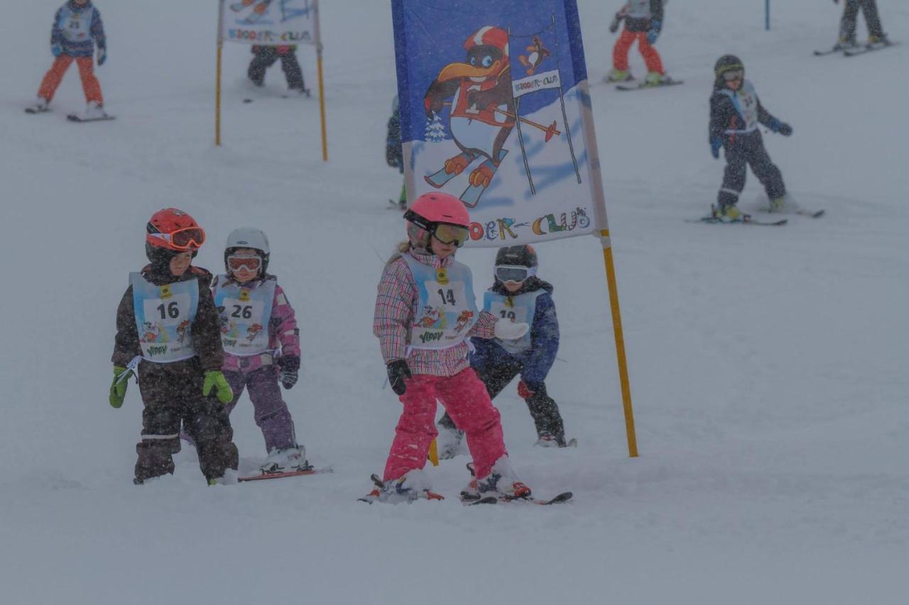 Ski- Und Wander Appartements Schiffer Innerkrems Kültér fotó